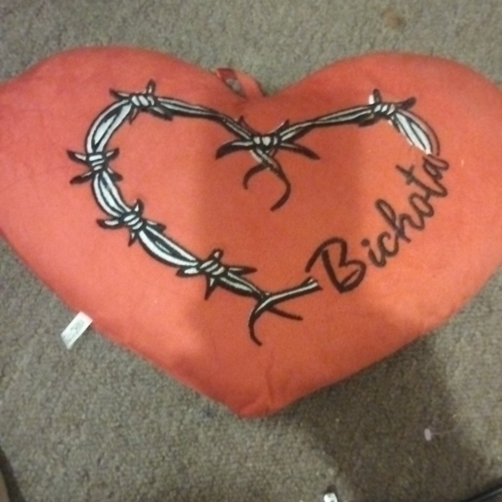 Karol g pillow